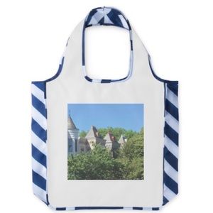 Capitol Hill DC Reusable Shopping Bag